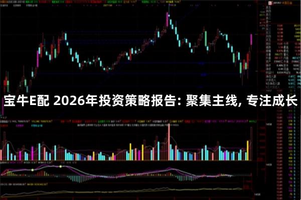 宝牛E配 2026年投资策略报告: 聚集主线, 专注成长