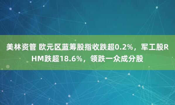 美林资管 欧元区蓝筹股指收跌超0.2%，军工股RHM跌超18.6%，领跌一众成分股