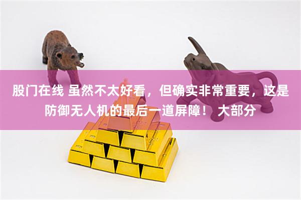股门在线 虽然不太好看，但确实非常重要，这是防御无人机的最后一道屏障！ 大部分